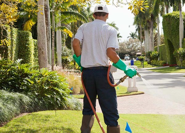 About Marion Junction AL Pest Control